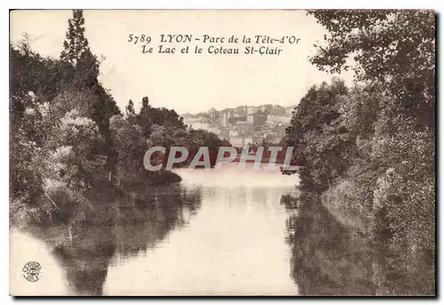 Cartes postales Lyon Parc de la Tete d'Or le Lac et le Coteau St Clair