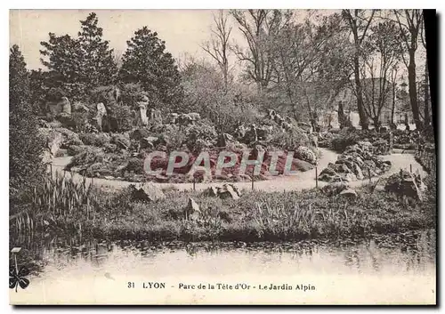 Cartes postales Lyon Parc de la Tete d'Or le Jardin Alpin