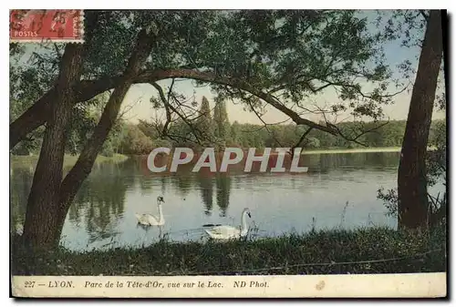 Ansichtskarte AK Lyon Parc de la Tete d'Or vue sur le Lac