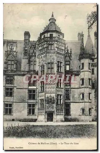 Cartes postales Chateau de Meillant Cher La Tour du Lion