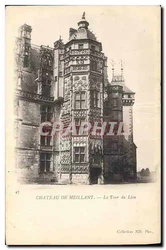 Cartes postales Chateau de Meillant La Tour du Lion