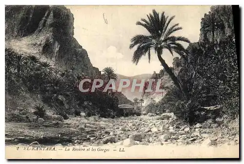 Cartes postales El Kantara La Riviere et les Gorges