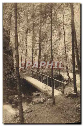 Cartes postales Le Dauphine Valle du Gresivaudan Gorges de Tencin