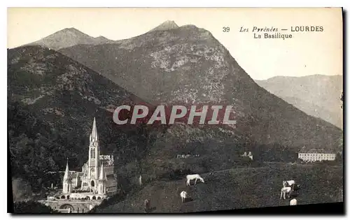 Cartes postales Les Pyrenees Lourdes la Basilique Chevaux