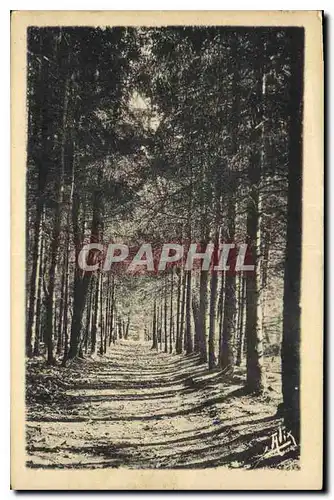 Ansichtskarte AK Les Pyrenees Bagneres de Bigorre Promenade du Bedat Petites Vosges