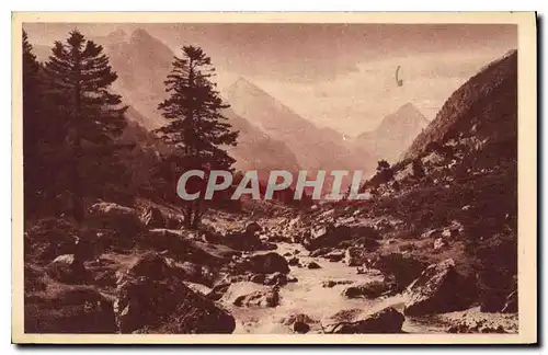 Cartes postales Cauterets Vallee du Lutour