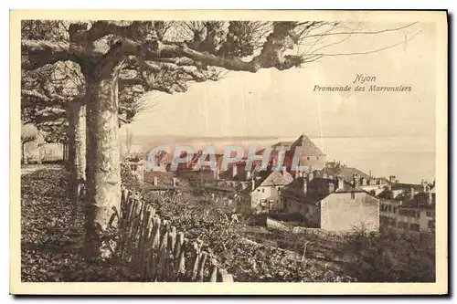 Cartes postales Nyon Promenade des Marronnaiers