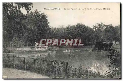 Ansichtskarte AK Montelimar Jardin Public le lac vu de l'Allee des Melezes