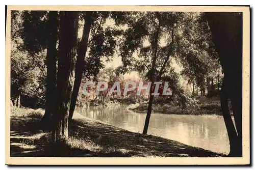 Ansichtskarte AK La Douce France Toulouse Hte Garonne Les Bords de la Garonne au Parc Toulousain