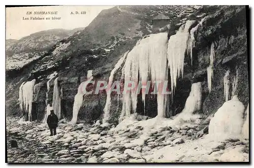 Cartes postales En Normandie Les Falaises en hiver