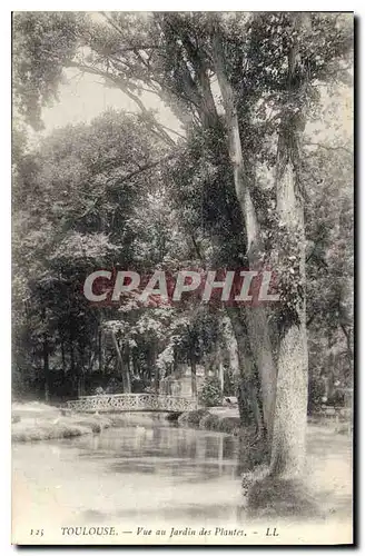 Ansichtskarte AK Toulouse Vue du Jardins des Plantes