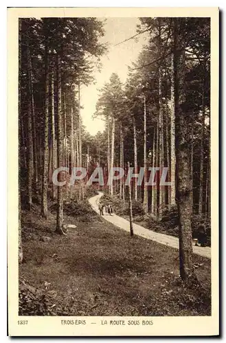 Ansichtskarte AK Trois Epis La Route Sous Bois