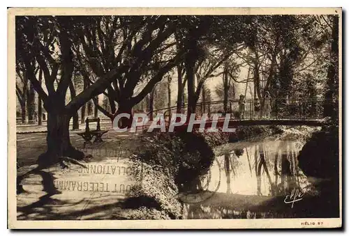 Cartes postales Toulouse Le Jardin des Plantes Etude Artistique