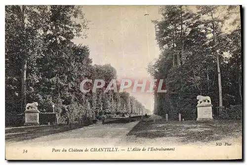 Cartes postales Parc du Chateau de Chantilly L'Allee dl'Entrainement