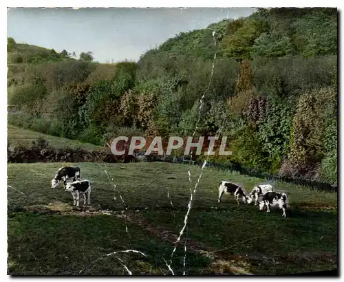 Cartes postales La Normandie Pittoresque