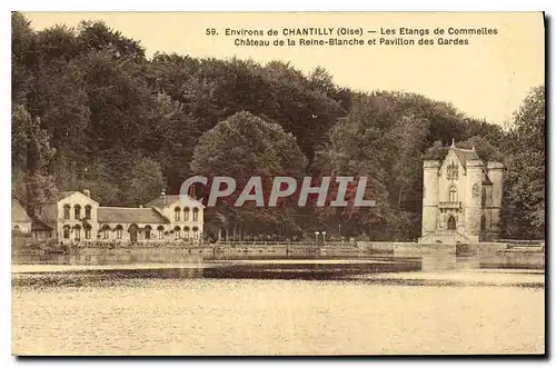 Cartes postales Environs de Chantilly Oise Les Etangs de Commeilles Chateau de la Reine Blanche et Pavillon des