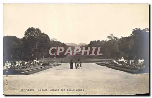 Ansichtskarte AK Compiegne Le Parc Avenue des Beaux Monts