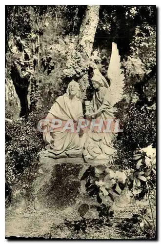 Cartes postales Groupe de l'Agonie