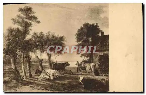 Cartes postales P Potter