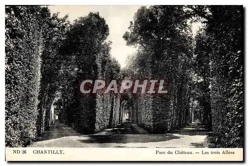 Cartes postales Chantilly Parc du Chateau