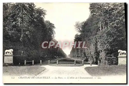 Cartes postales Chateau de Chantilly le Parc l'Allee de l'Entrainement