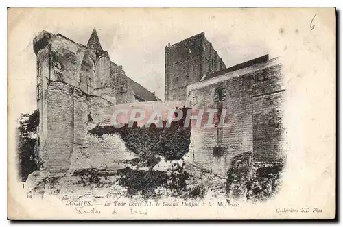 Cartes postales Loches la Tour Louis Xi le Grand Donjon et les Marlelets