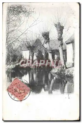 Cartes postales Maison Arbre