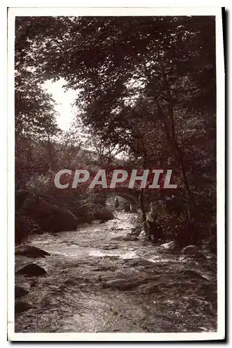 Cartes postales Monastere de la Pierre qui vire Le Pont du Chevreuil