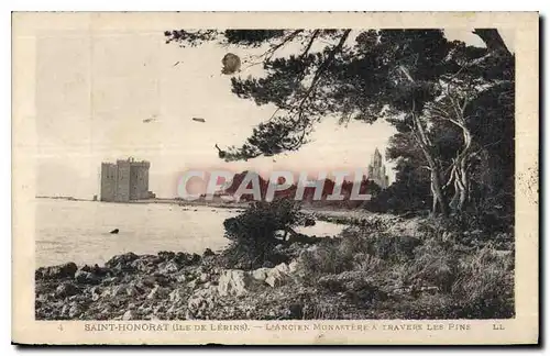 Cartes postales Saint Honorat Ile de Lerins l'Ancien Monastere a travers les Pins