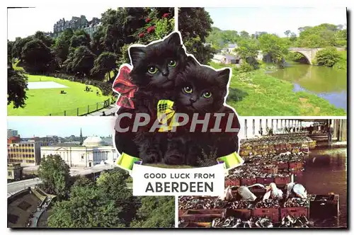 Cartes postales moderne Good luck from Aberdeen Chats Chatons