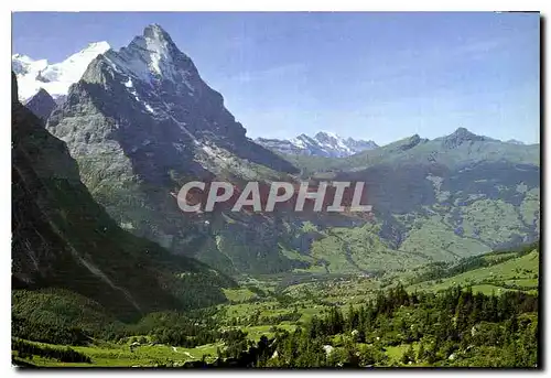 Cartes postales moderne Grindelwald Monch Eiger Blumlisalp Buttlassen Lauberhorn und Tschuggen