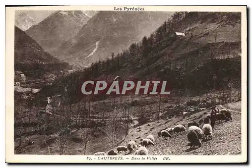 Cartes postales Cauterets Dans la Vallee