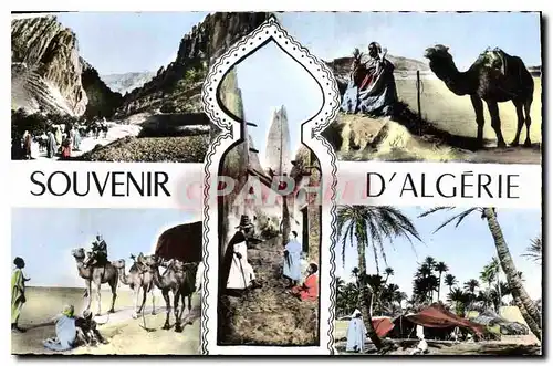Cartes postales Souvenir d'Algerie Chameau