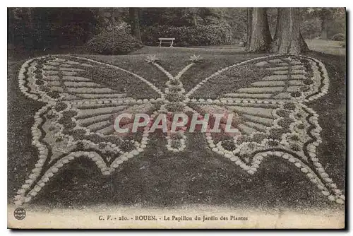 Cartes postales Rouen Le Papillon du Jardin des Plantes