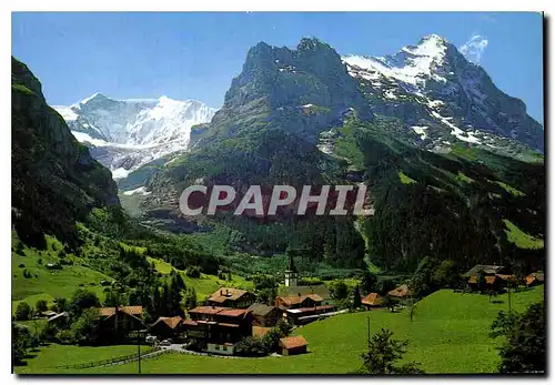 Cartes postales Grindelwald Fiescherhorner Hornli und Eiger