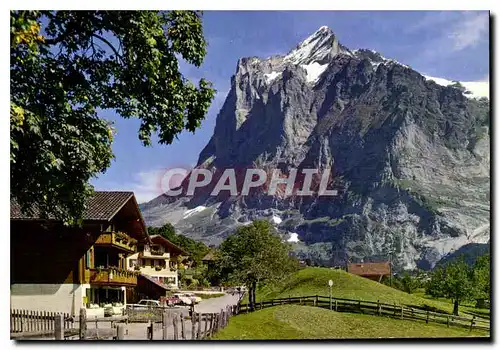 Ansichtskarte AK Grindelwald Am Terrassenweg Wetterhorn