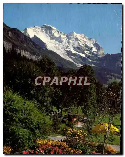 Cartes postales Wengen Blick auf die Jungfrau