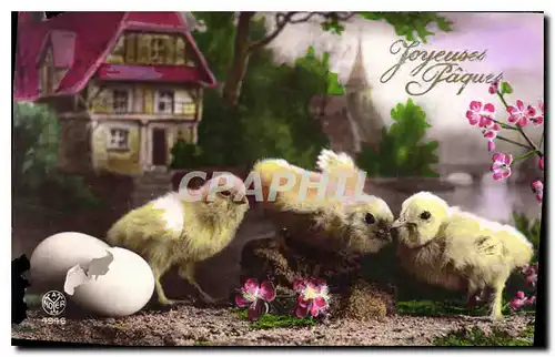 Cartes postales Joyeuses Paques Poussins