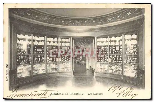 Cartes postales Chateau de Chantilly Les Gemmes