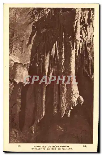 Cartes postales Grottes de Betharram Stalactite Du Bec De Canard
