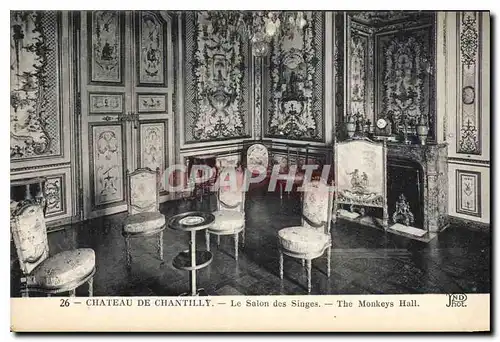 Cartes postales Chateau de Chantilly Le Salon des Singes