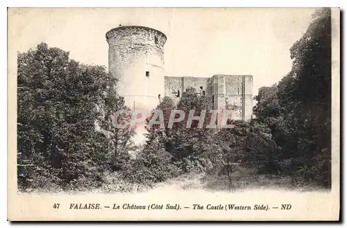 Cartes postales Falaise Le Chateau Cote Sud