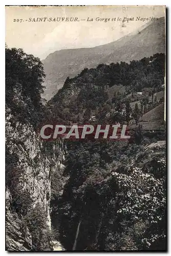 Cartes postales Saint Sauveur La Gorge et le Pont Napoleon