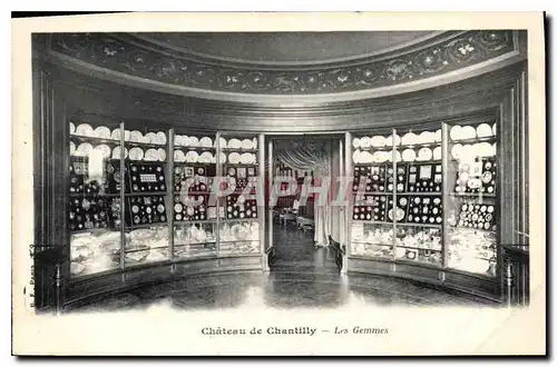 Cartes postales Chateau de Chantilly Les Gemmes