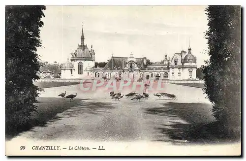 Cartes postales Chantilly Le Chateau