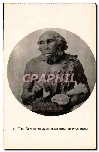 Cartes postales The Neanderthaler According to Prof Rutot