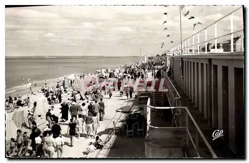 Cartes postales Luc sur Mer Vue d'ensemble de la Plage