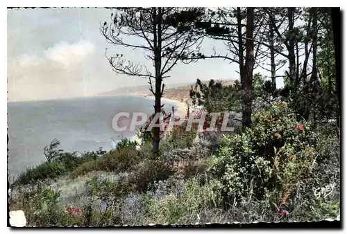 Ansichtskarte AK Villers sur Mer Calvados Vue panoramique a travers le Pins