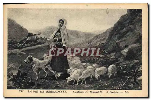 Cartes postales La Vie de Bernadette l'enfance de Bernadette a Bartres Chien Moutons