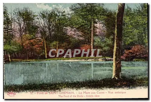 Cartes postales Foret de Saint Germain la Mare aux Canes vue artistique